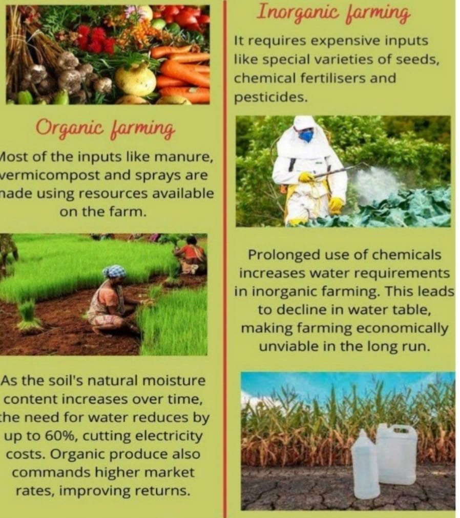 Organic Farming Awareness for Sustainable Agriculture