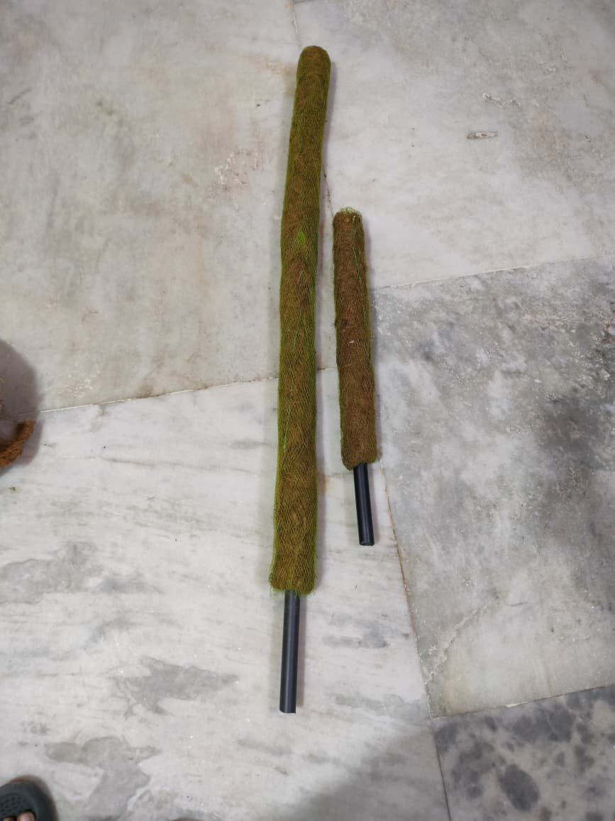 Navmaati Coir Stick