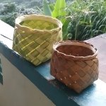 Coconut Shell Basket