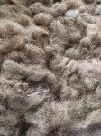 Navmaati Coir fiber