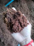 Navmaati vermi compost 