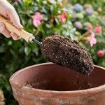 Navmaati Potting Mix